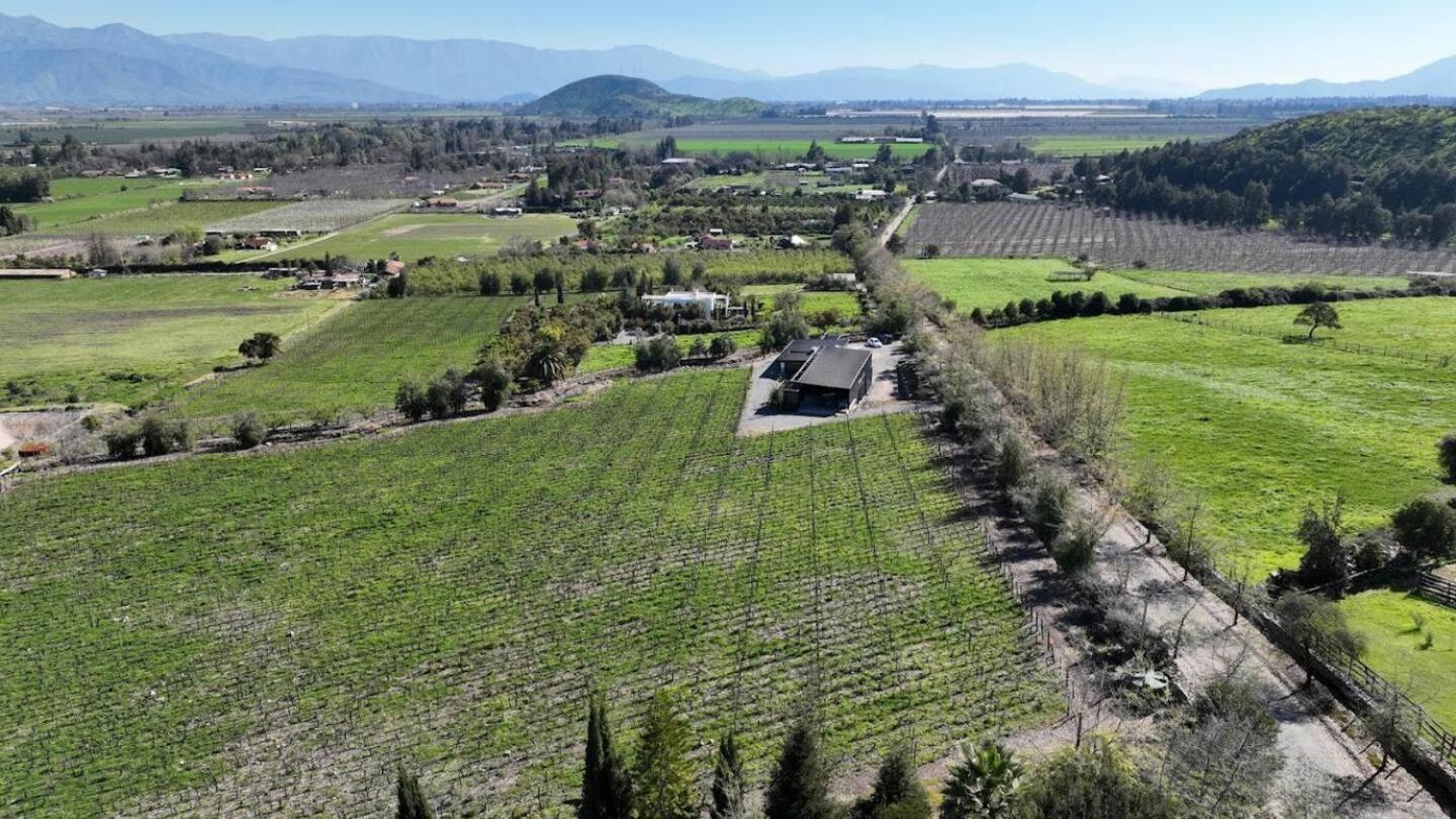 Vina Lof - Maipo Valley Bed & Breakfast In Winery Пайне Экстерьер фото