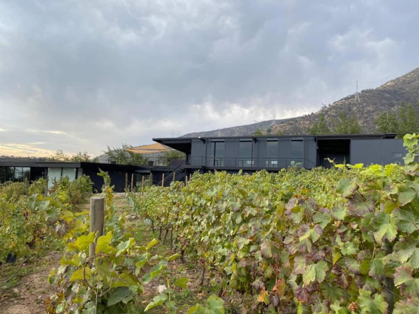 Vina Lof - Maipo Valley Bed & Breakfast In Winery Пайне Экстерьер фото